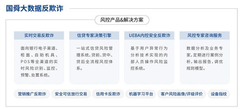 國舜股份 業務安全、安全開發與安全服務領域的卓越代表者，引領信息系統集成服務新篇章