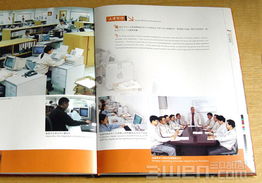 三文品牌設計 構建企業形象與VI系統的全方位指南